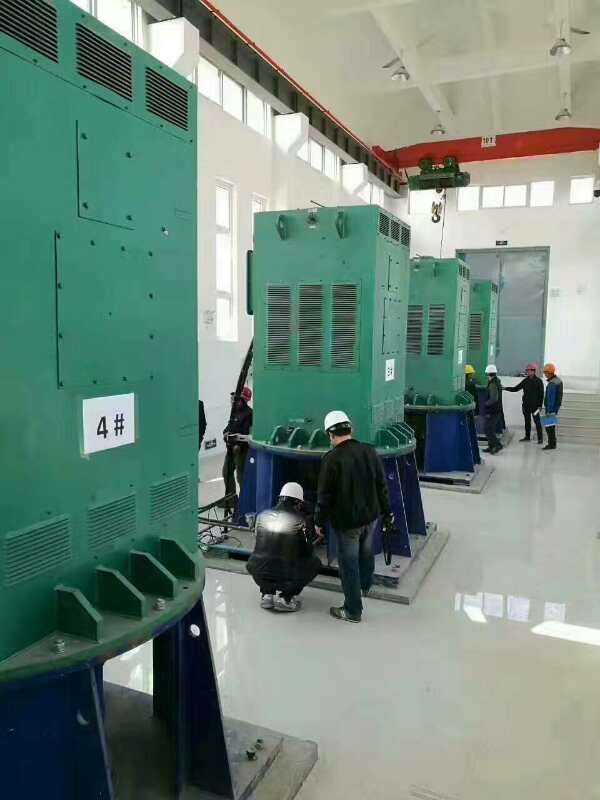 茂县某污水处理厂使用我厂的立式高压电机安装现场