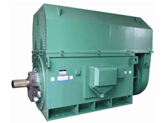 茂县Y系列6KV高压电机一年质保